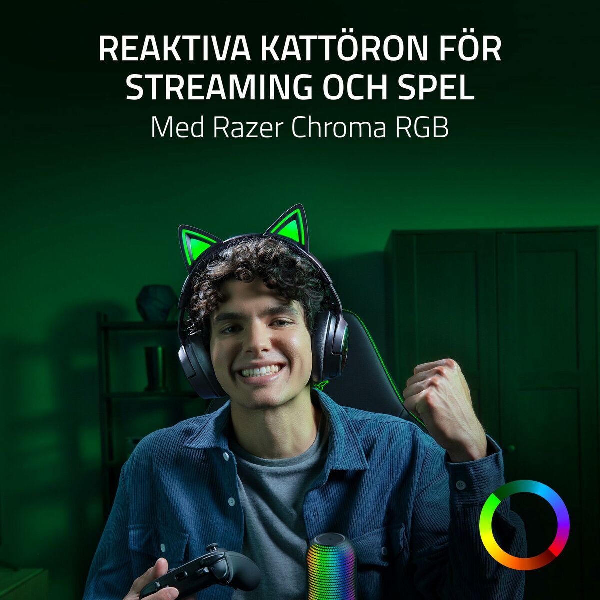 Picture of Headphones Razer RZ04-05170300-R3M1 Black