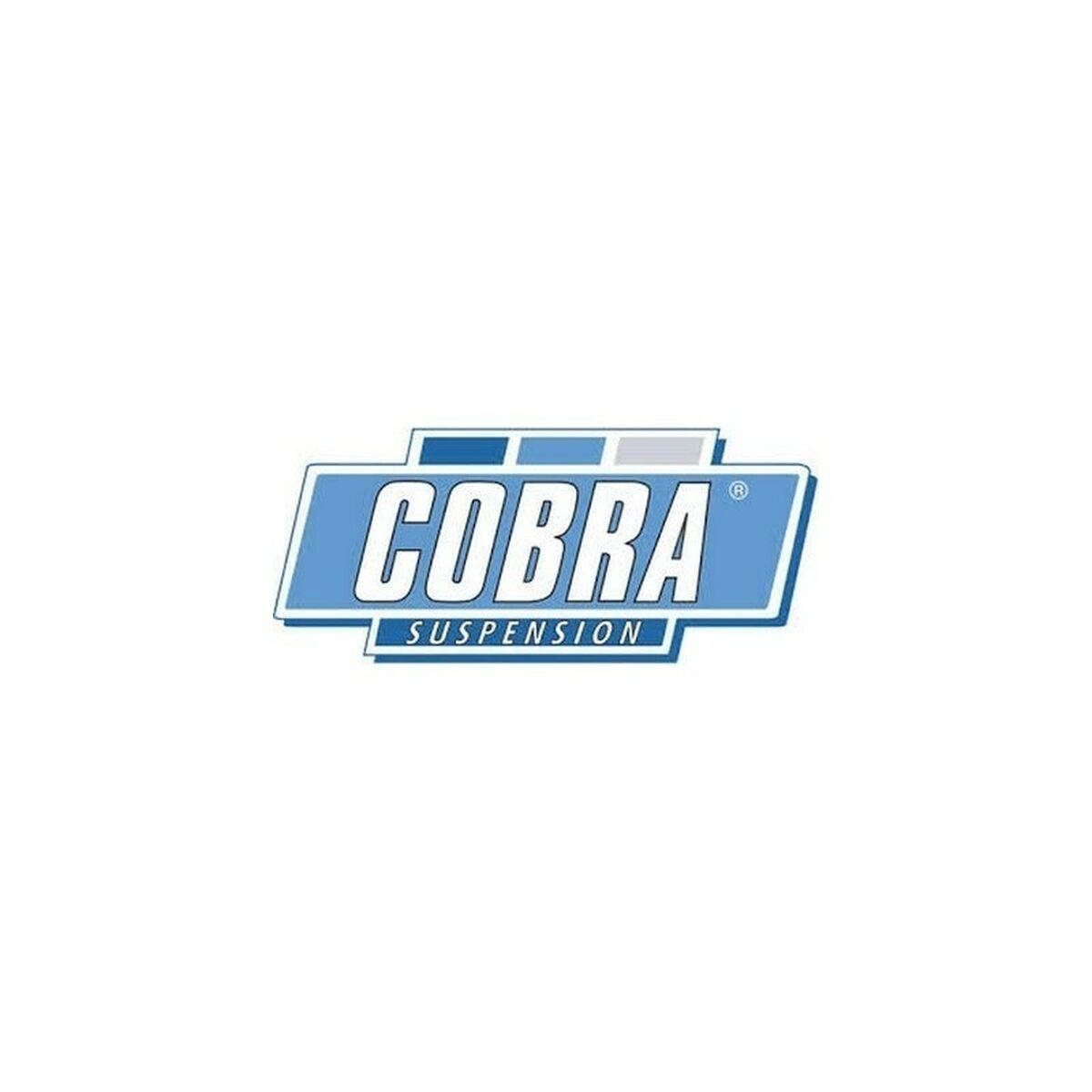 Spring Kit Cobra COB002689