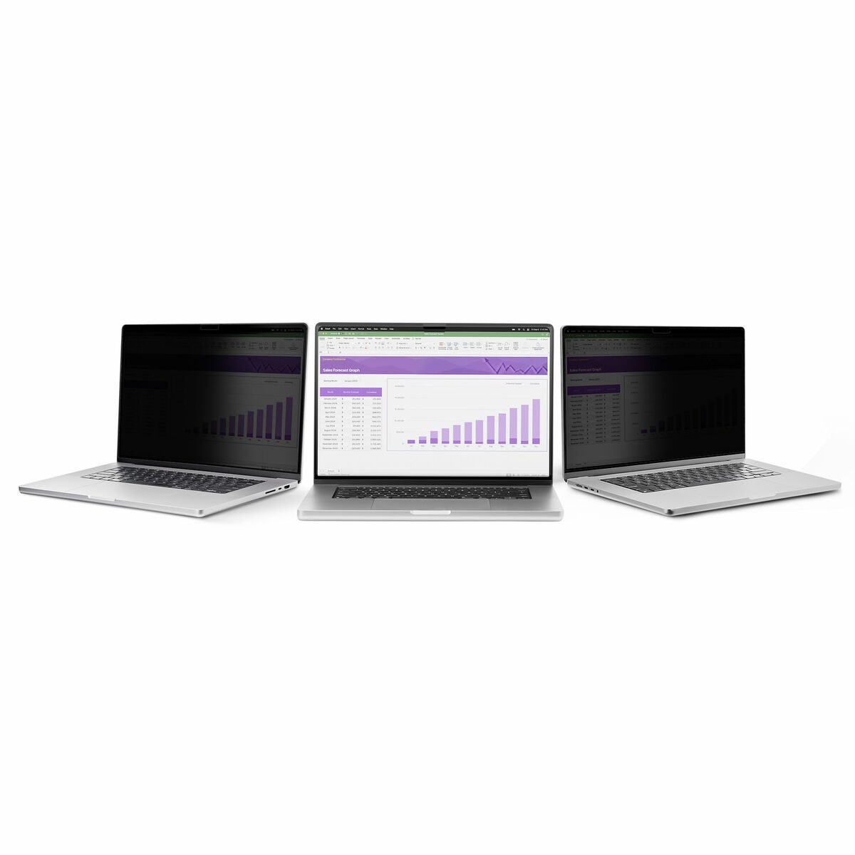 Afbeeldingen van Notebook Stand Startech 141T6-PRIVACY-SCREEN Plastic