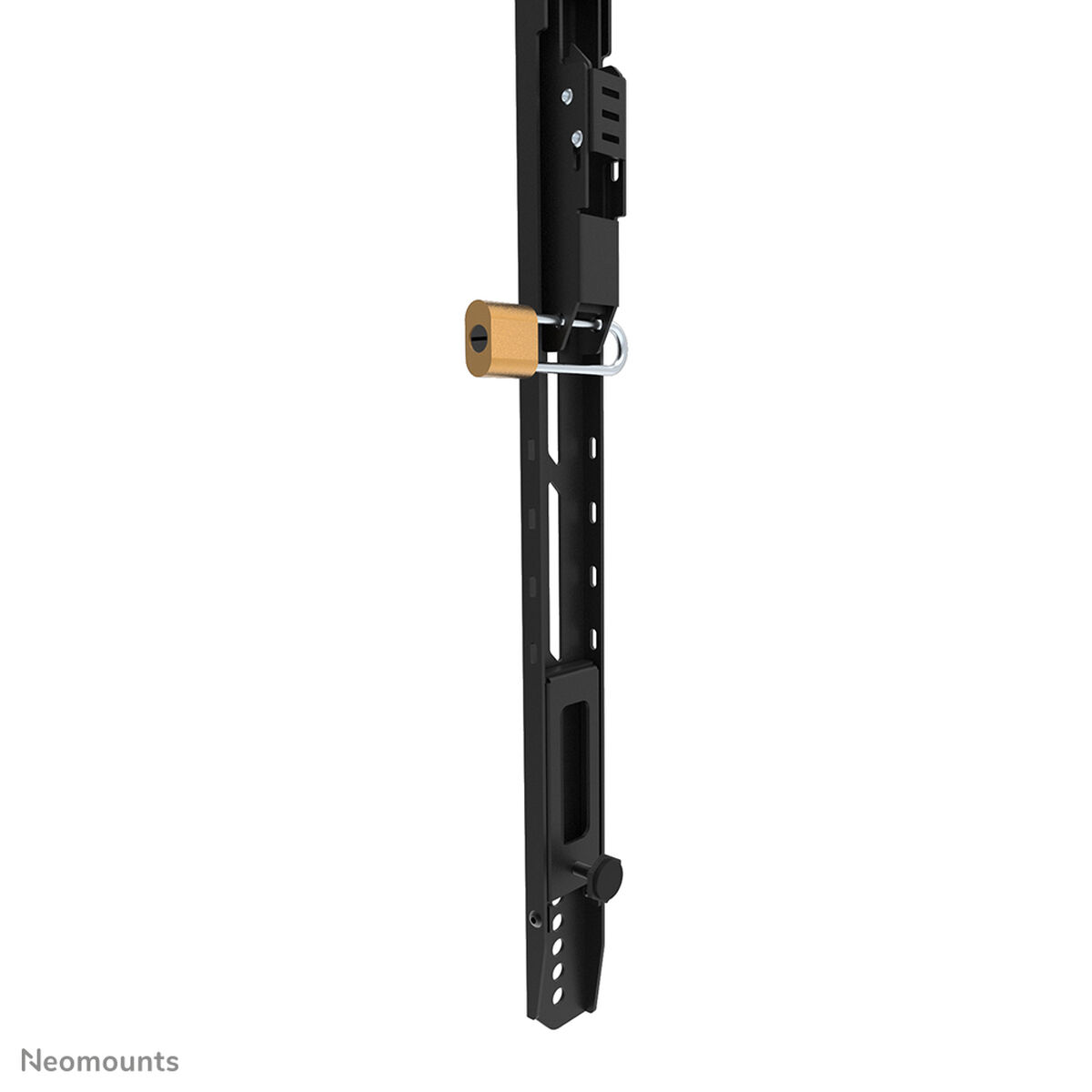 Afbeeldingen van TV Mount Neomounts WL30-750BL18 43"