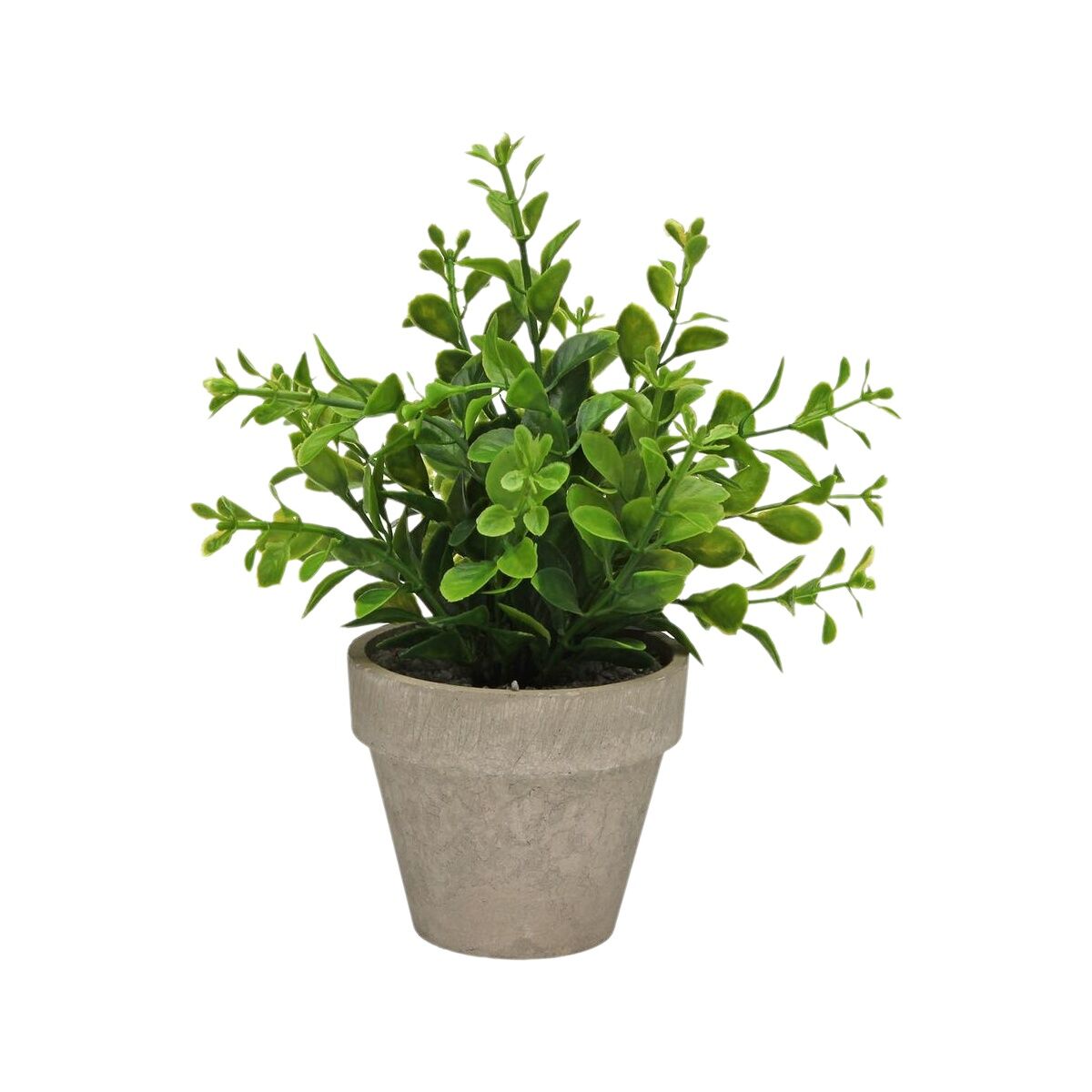 Image secondaire de Plante décorative Versa Fer Textile Plastique 11 x 26 cm