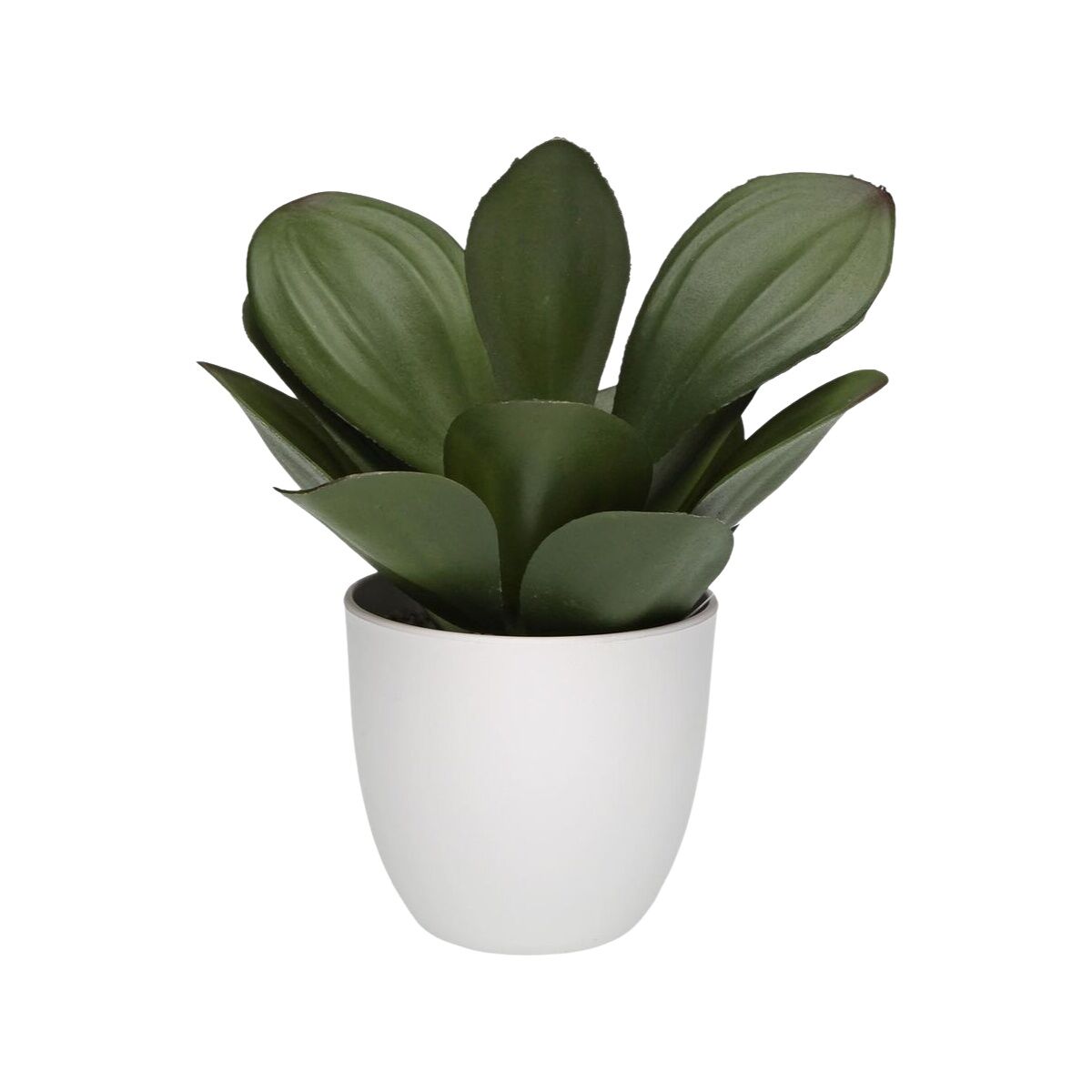 Image secondaire de Plante décorative Versa Fer Textile Plastique 25 x 23 cm