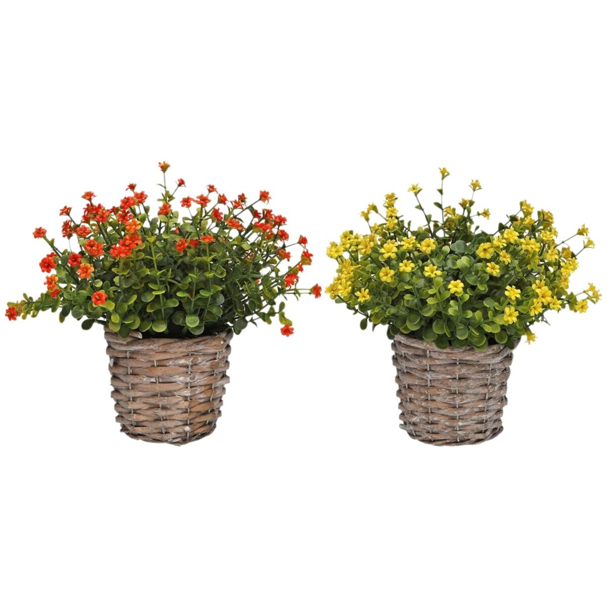 Image secondaire de Plante décorative Versa Fer Textile Plastique 16 x 21 cm