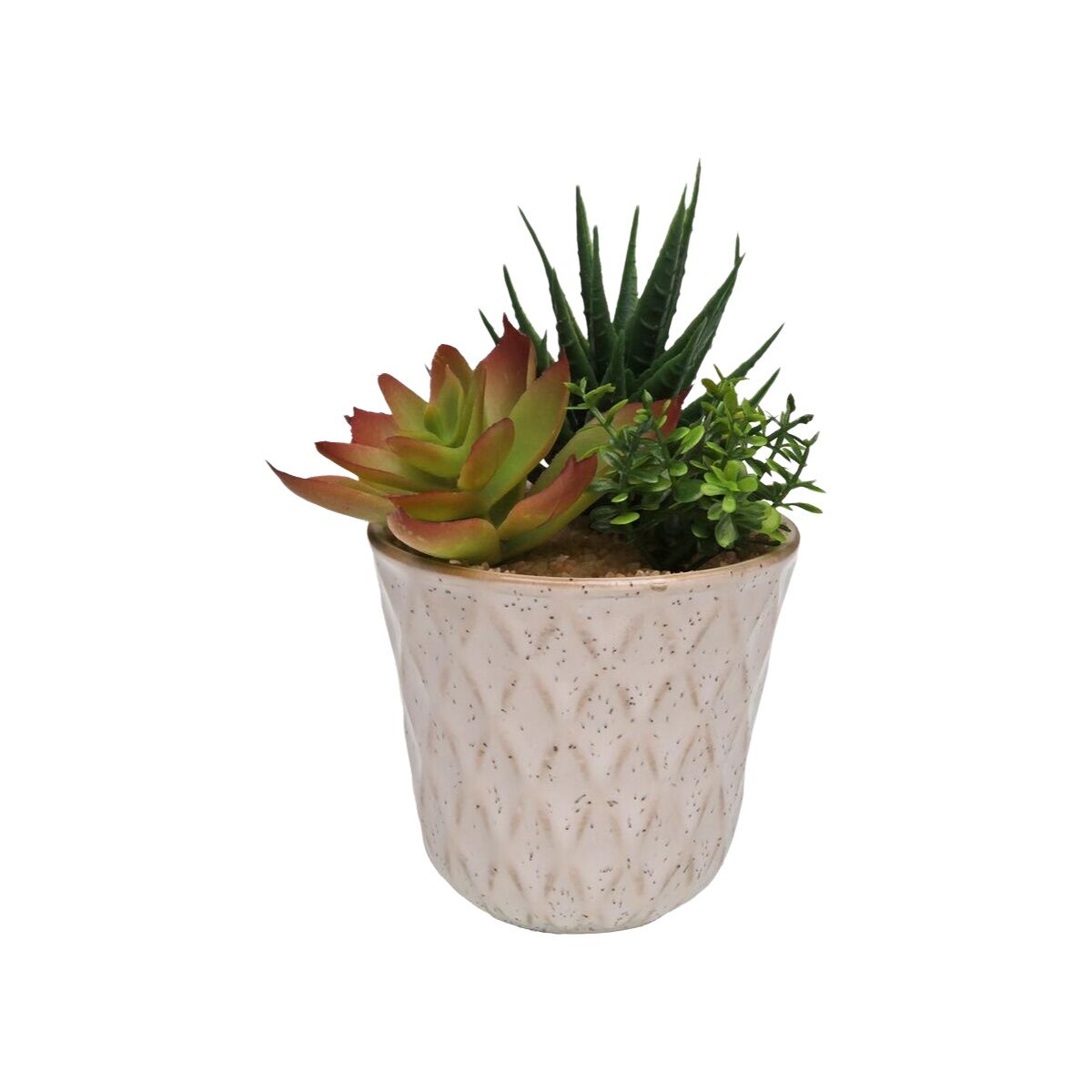 Image secondaire de Plante décorative Versa Céramique Plastique Fusion Succulent 7,8 X 14 X 7,8 CM