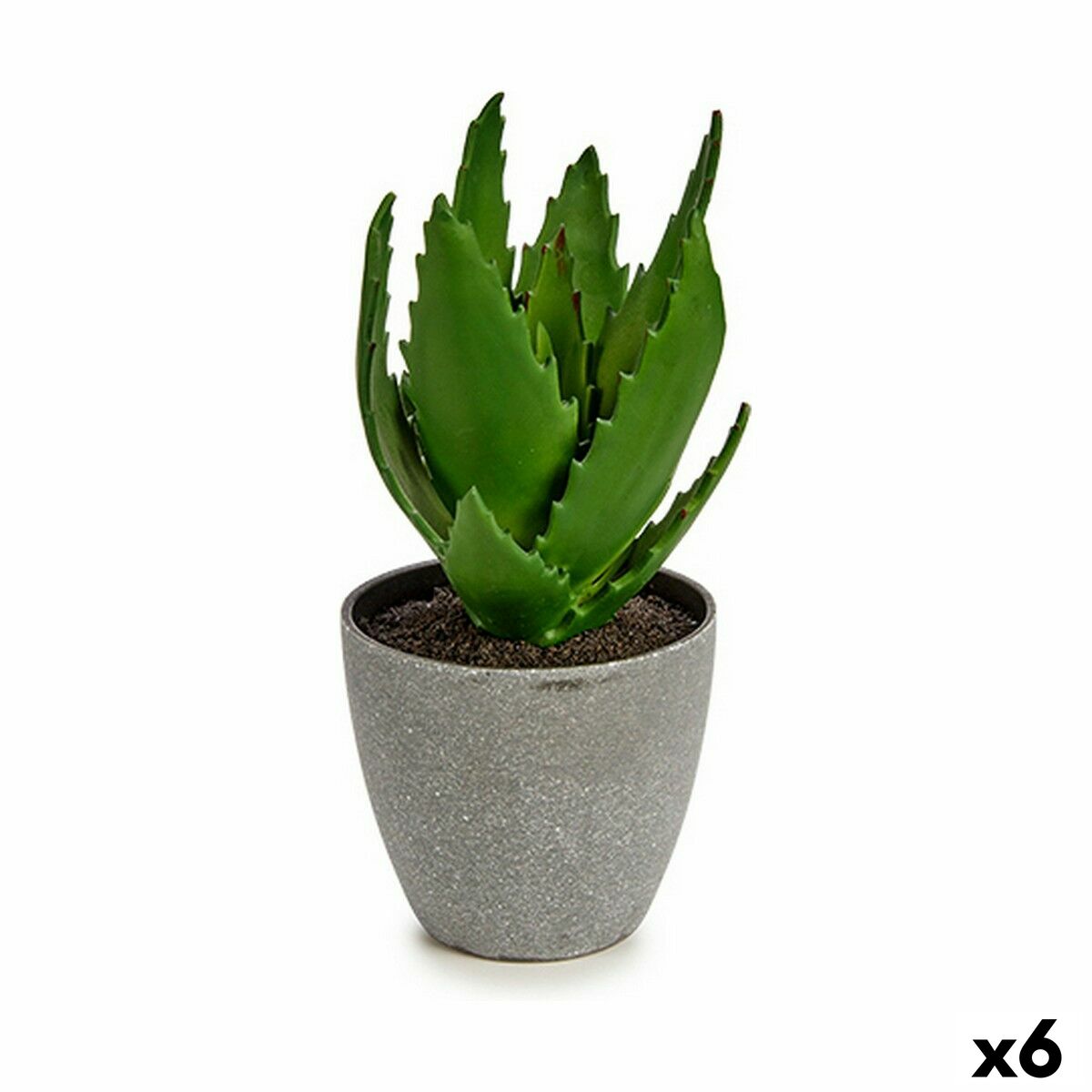 Plante décorative Aloe Vera 14 x 21 x 14 cm Gris Vert Plastique (6 Unités)