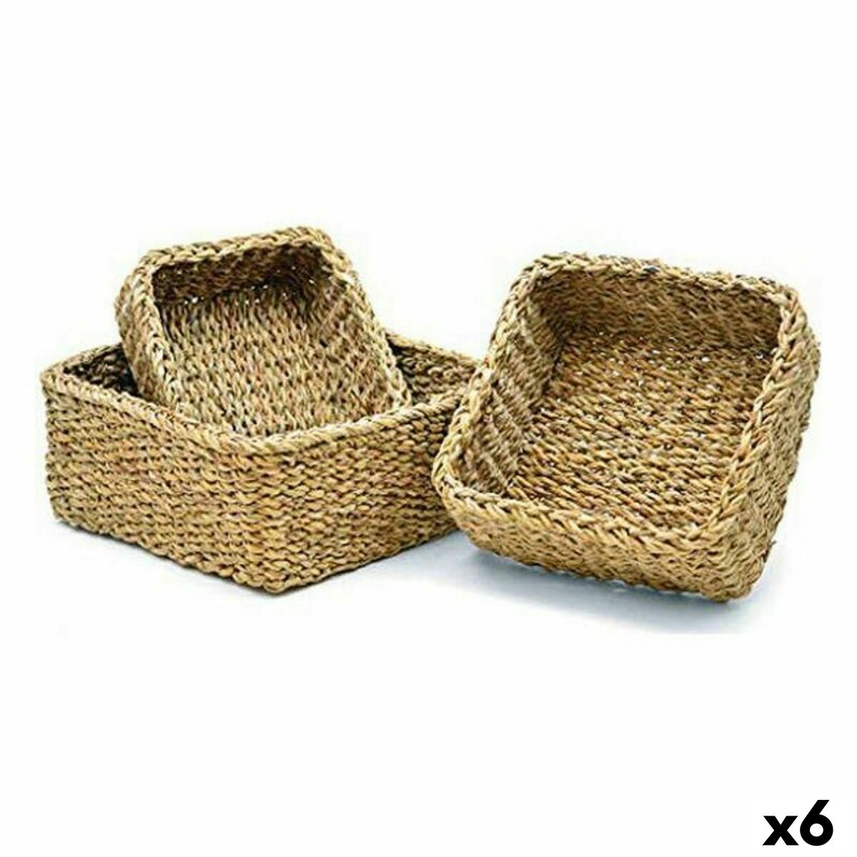 Lot de paniers Gift Decor 41846 Algues marines
