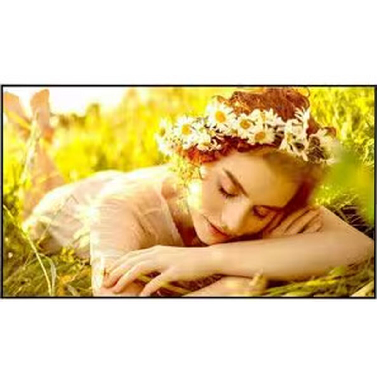 Bild von Videowall Monitor LG 86UL5Q-E.AEUQ 50" Ultra HD