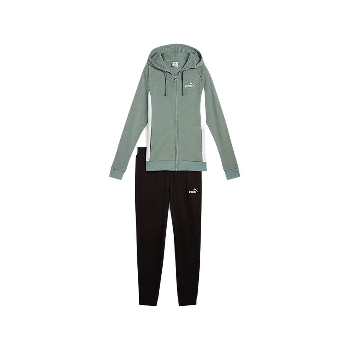 Survêtement Femme Puma Chándal Puma Hooded Sweat Suit Tr Bleu Vert