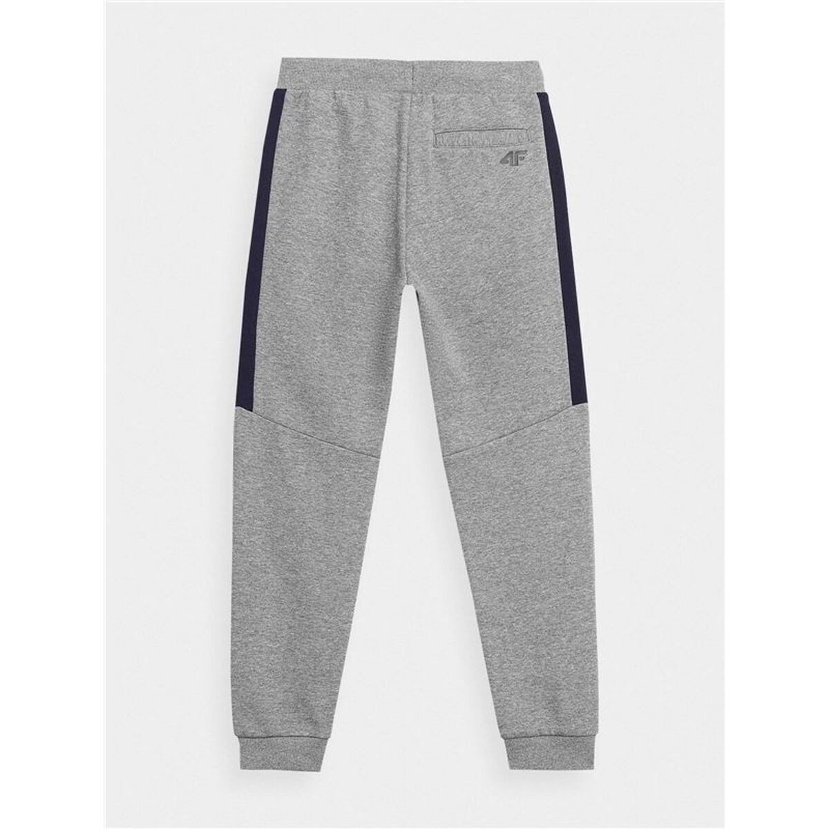 Lange sportbroek 4F JSPMD002 Grijs