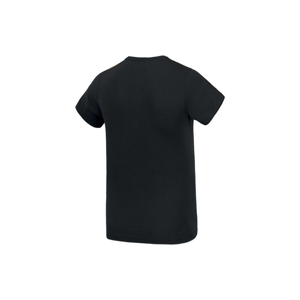 Mens Short Sleeve T-Shirt Picture MTS700.B Black