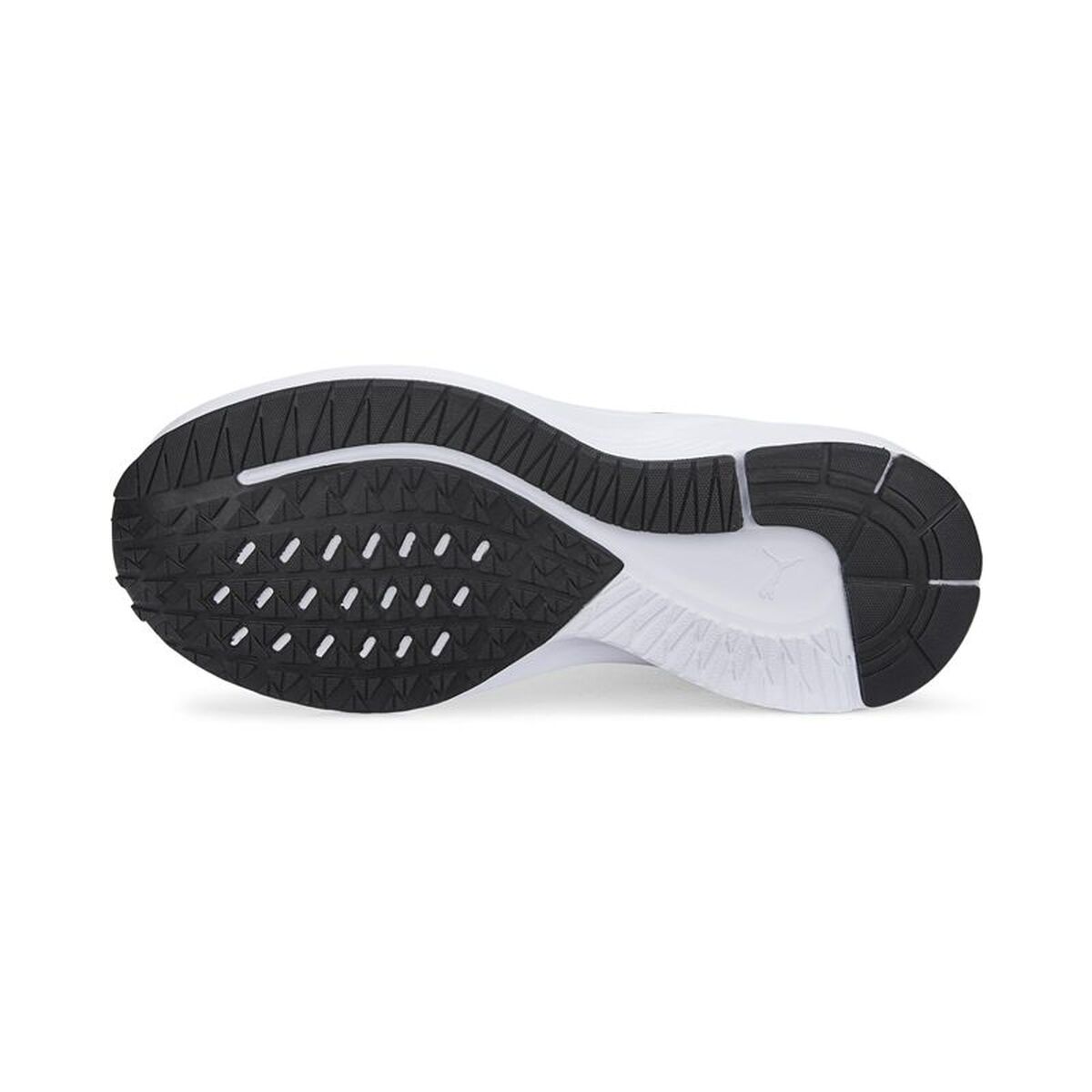Sportschoenen voor Dames Puma Aviator Profoam Sky Zwart