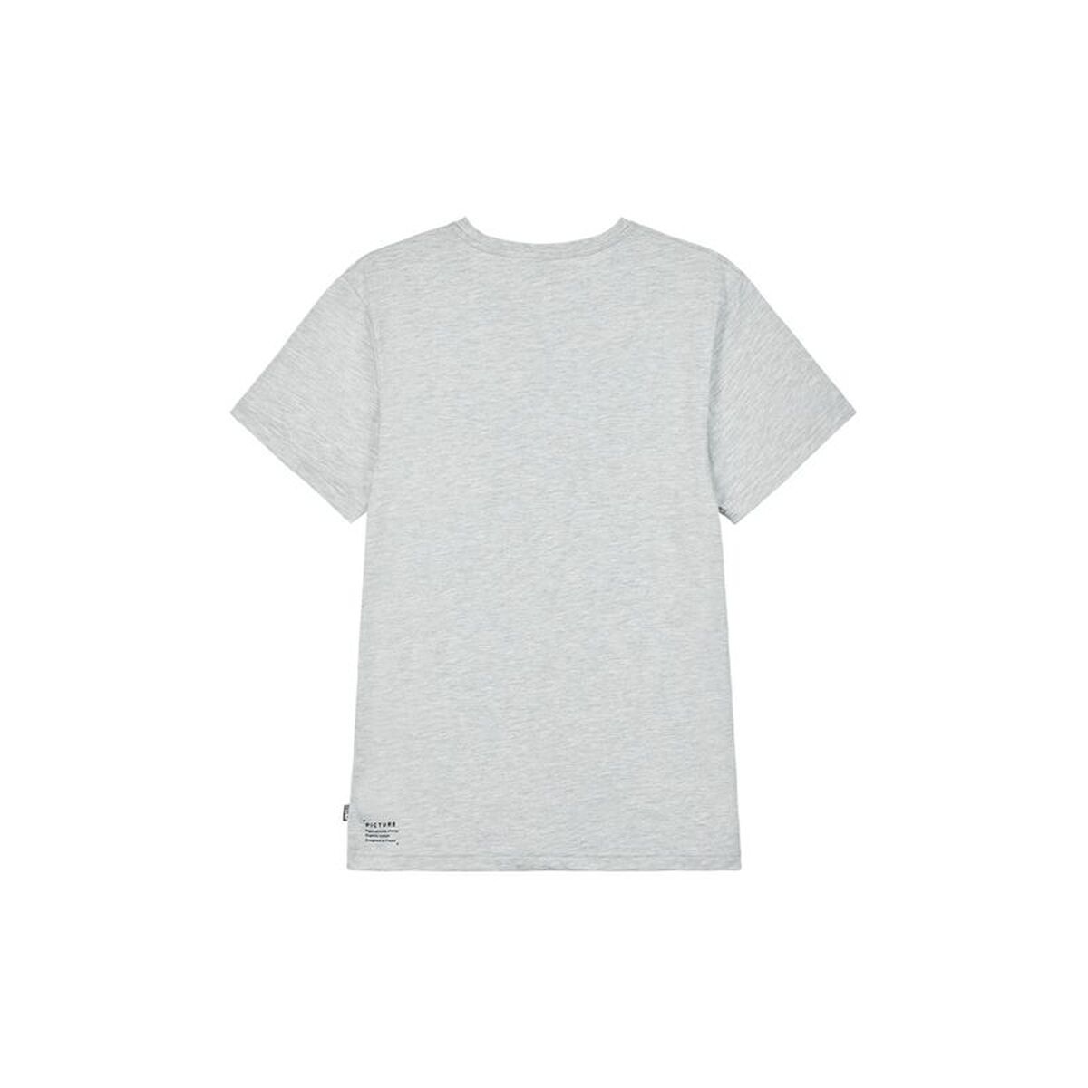 Mens Short Sleeve T-Shirt Picture MTS1021.A Grey
