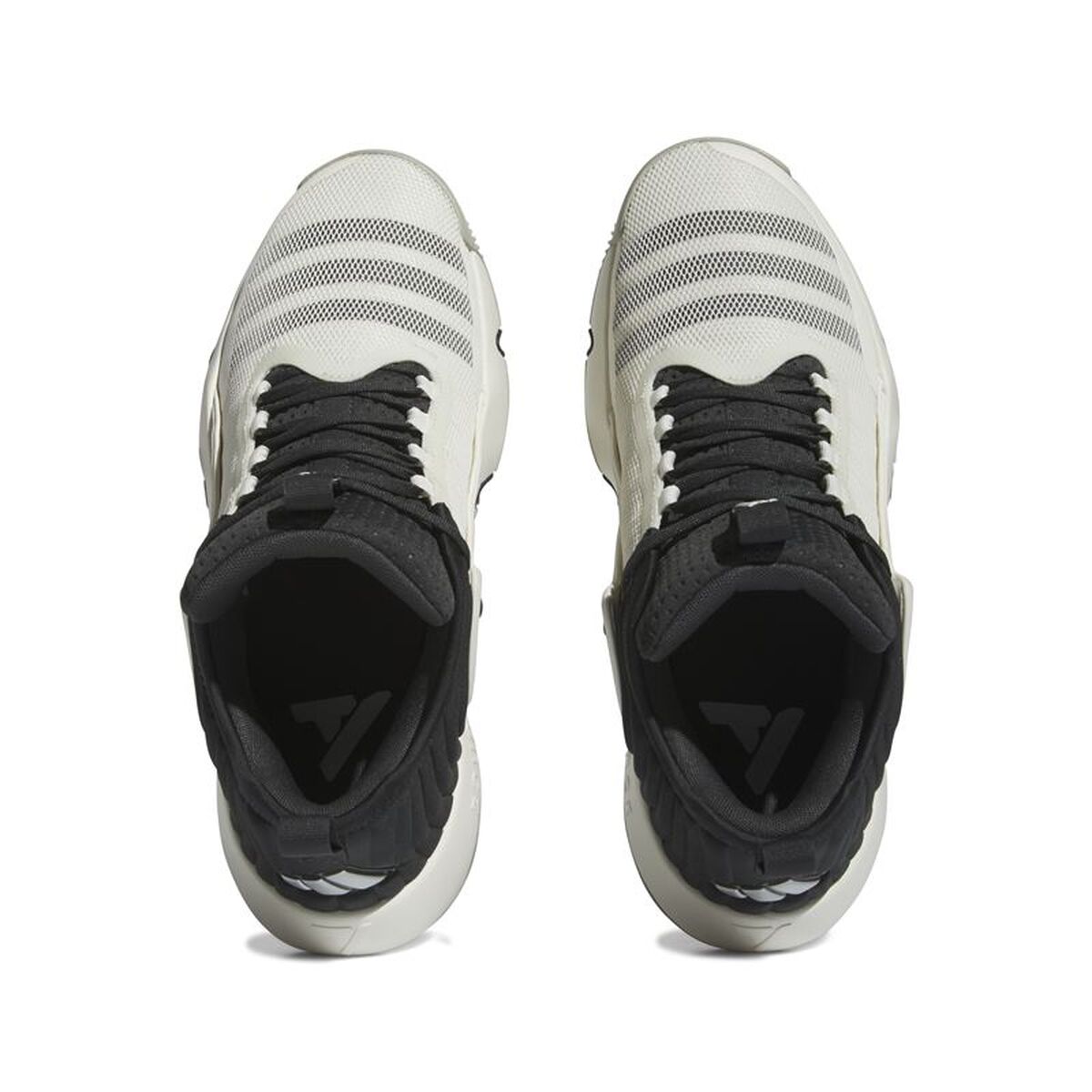 Basketball Shoes for Adults Adidas IF5609 Black