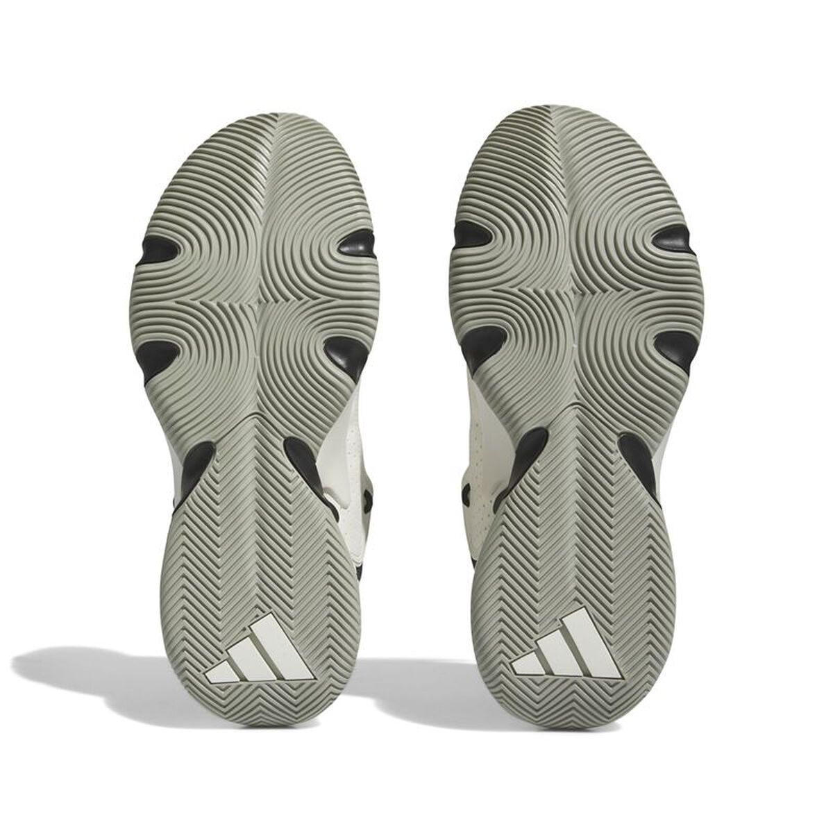 Basketball Shoes for Adults Adidas IF5609 Black