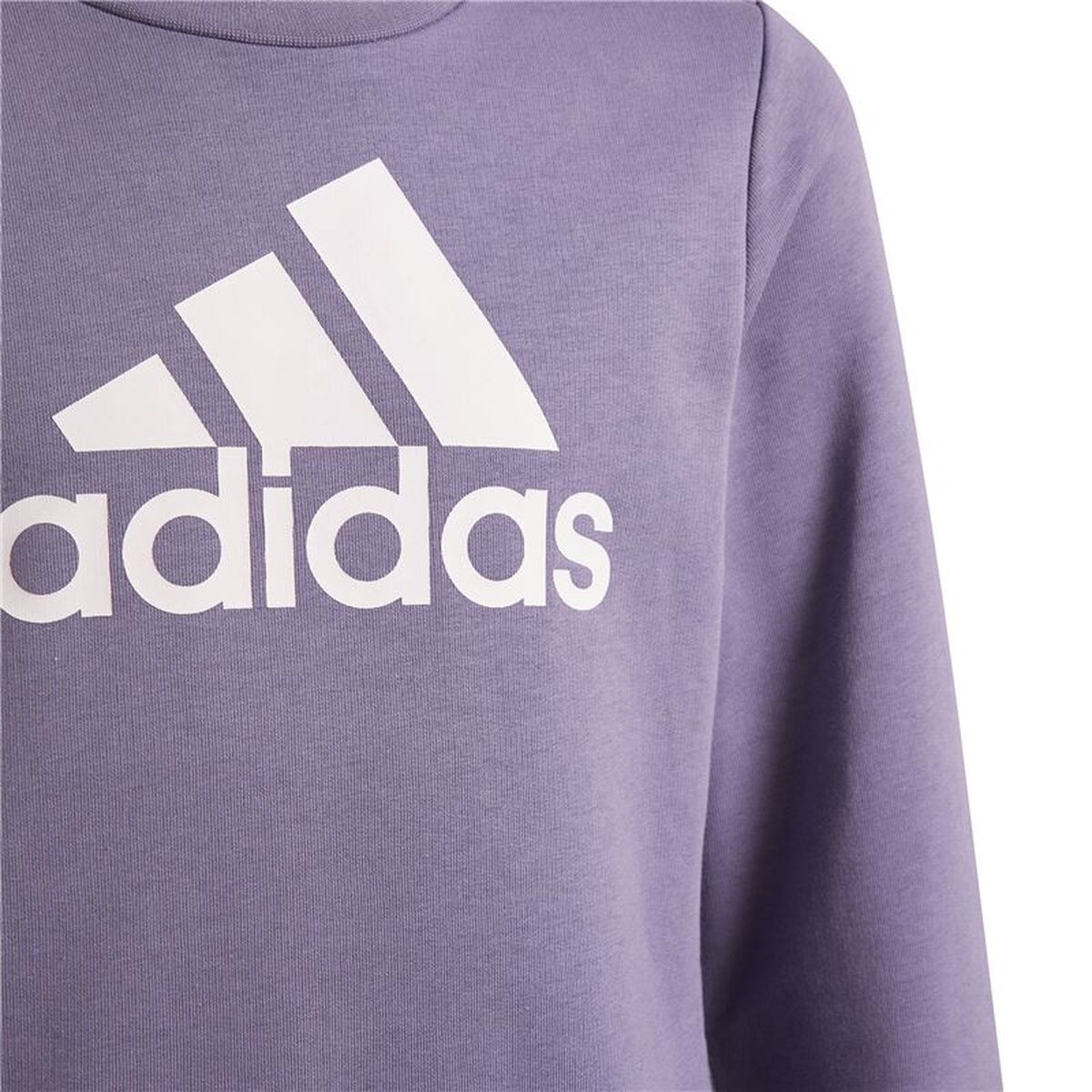 Womens Sweatshirt without Hood Adidas G Bl Swt Violet