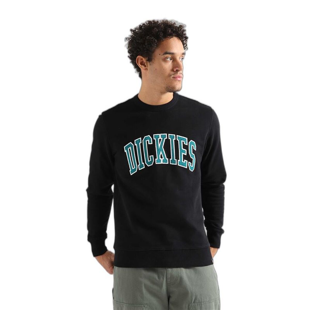 Herenhoodie Dickies Aitkin Zwart