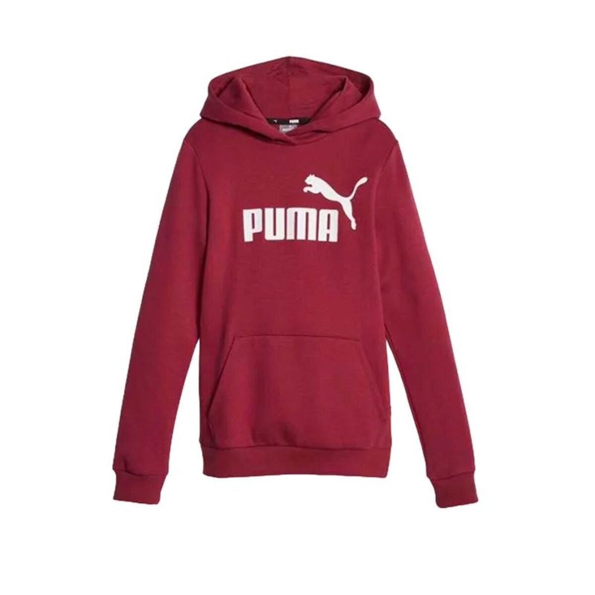 Kinderhoodie Puma Ess Bruin