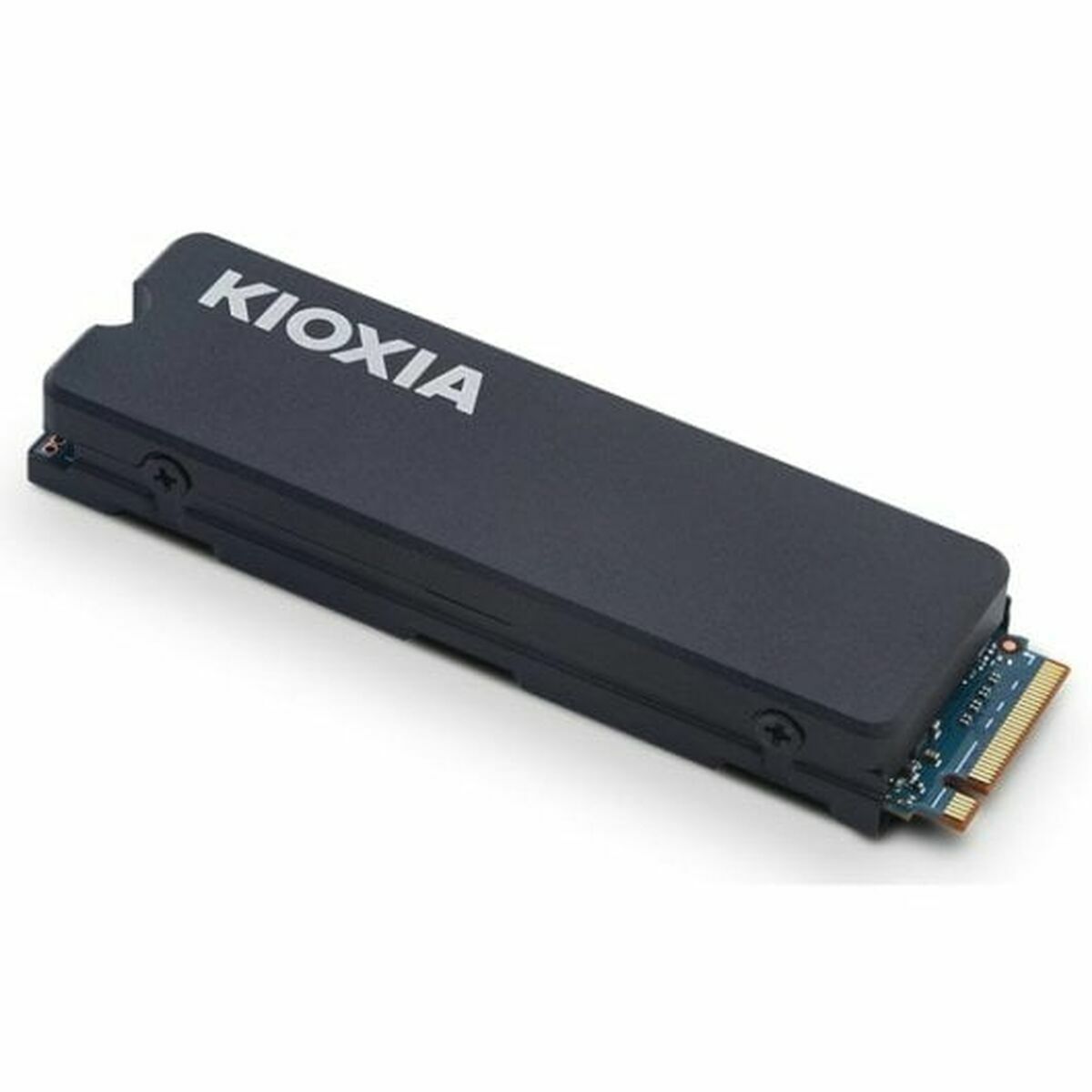 Picture of Hard Drive Kioxia Exceria Plus G3 1 TB SSD