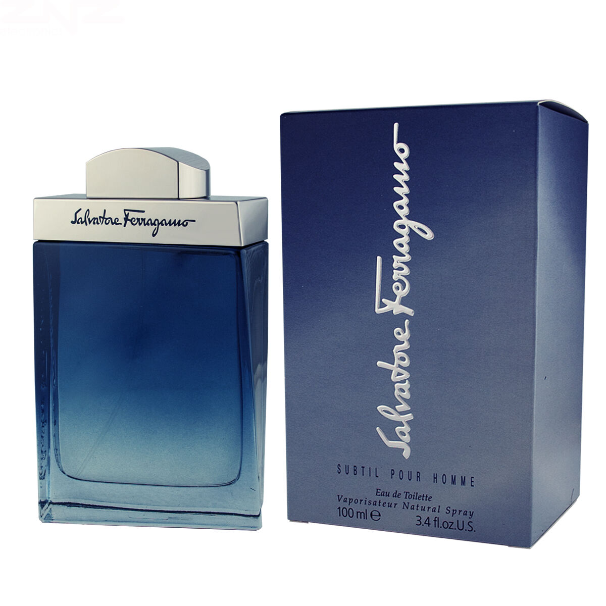 Parfum Homme Salvatore Ferragamo EDT Subtil Pour Homme 100 ml