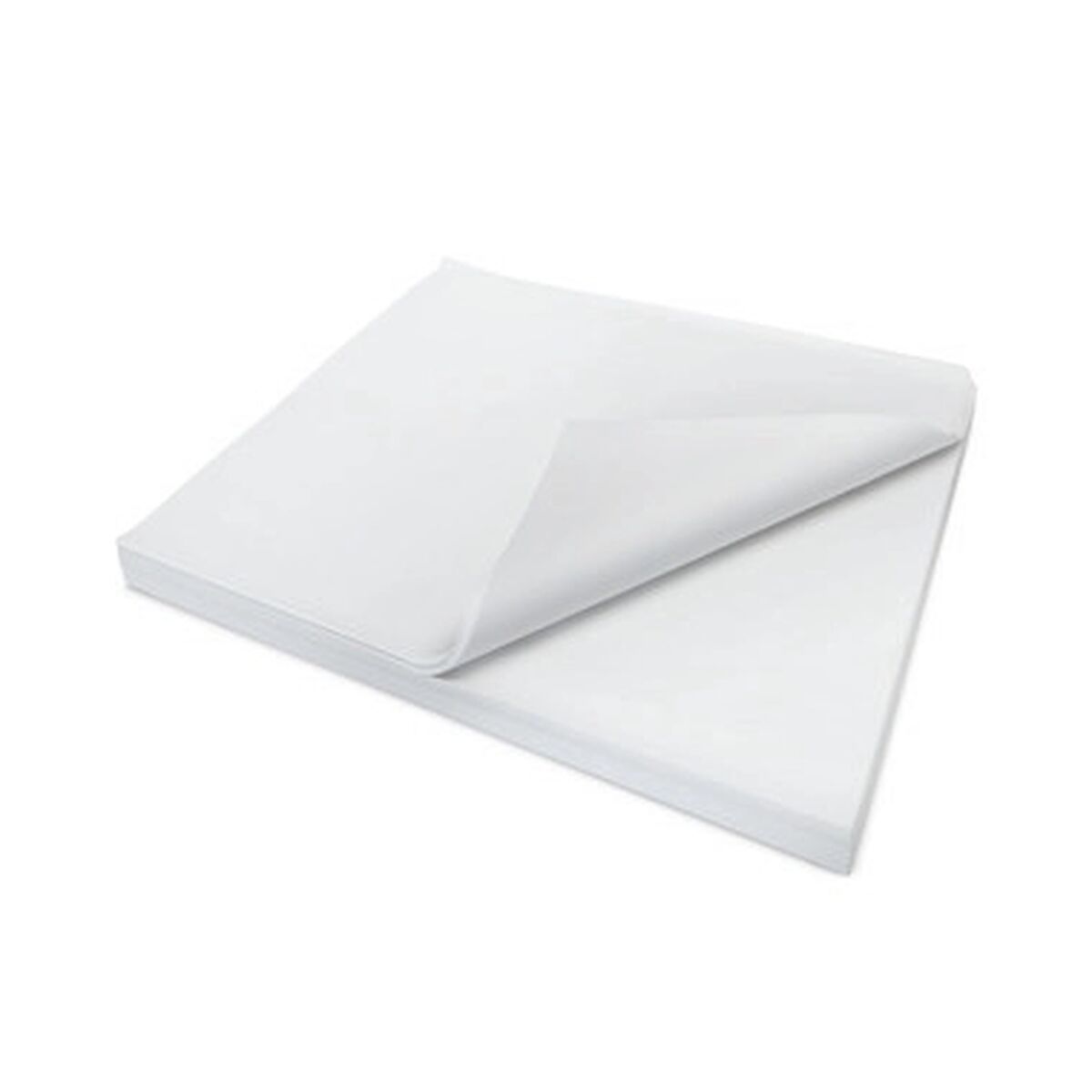 Papier Sadipal Soie Blanc 50 x 75 cm