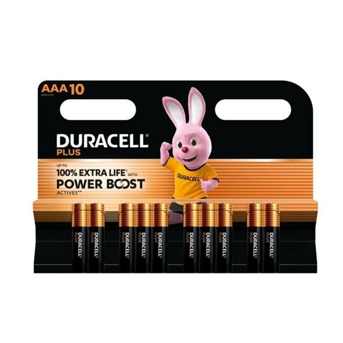 Picture of Alkaline Batteries DURACELL PLUS POWER 1,5 V AAA 10 Pieces (12 Units)
