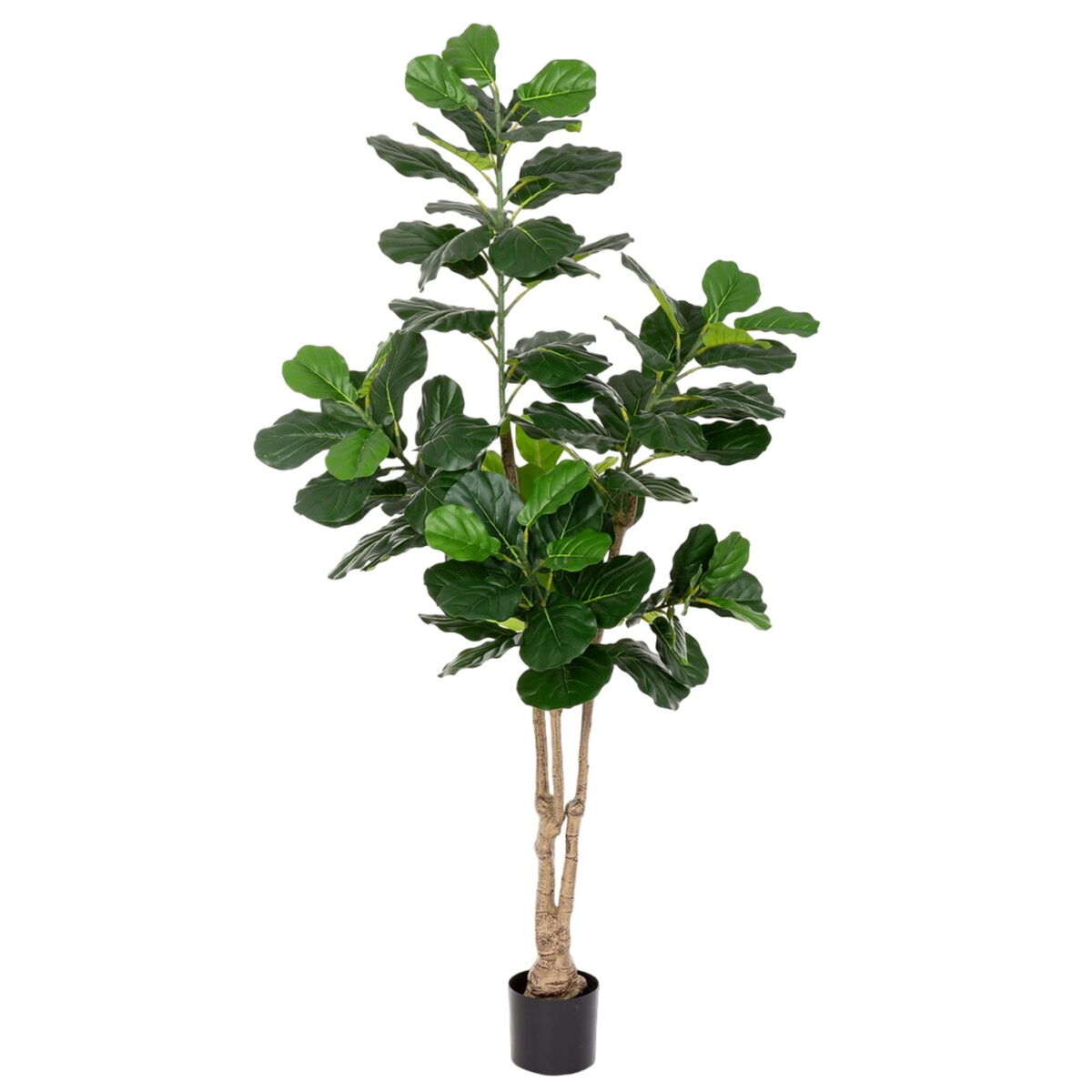 Plante décorative Polyuréthane Ciment Ficus 175 cm