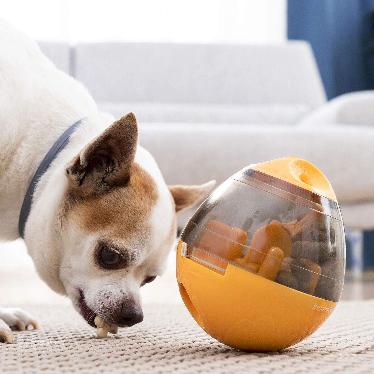 2-In-1 Treat Dispenser Toy for Pets Petyt InnovaGoods, view 2
